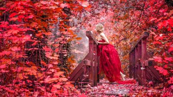 Photograph Jojo Samek 50 Shades Of Red on One Eyeland